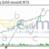 Scalping Gold xauusd MT5 Backtests