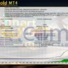 Smart Gold MT4 Backtest