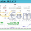 Smart Scalper PRO MT5 Backtests