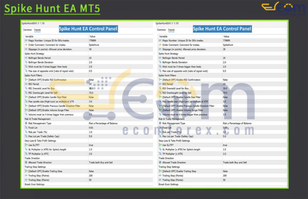 Spike Hunt EA MT5 Input