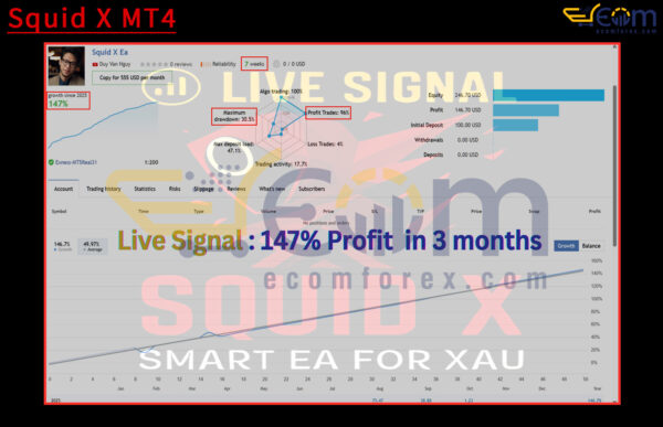 Squid X MT4 Live Result