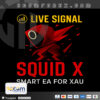 Squid X MT4 Logo