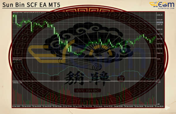Sun Bin SCF EA MT5 Backtest