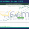 Support And Resistance Reversal EA MT5 Backtest