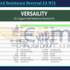 Support And Resistance Reversal EA MT5 Backtests