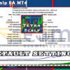 TetraScalp EA MT4 Backtest