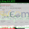 The Last King EA MT5 Live Result MyfxBook