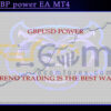 Tiger GBP power EA MT4 Backtest
