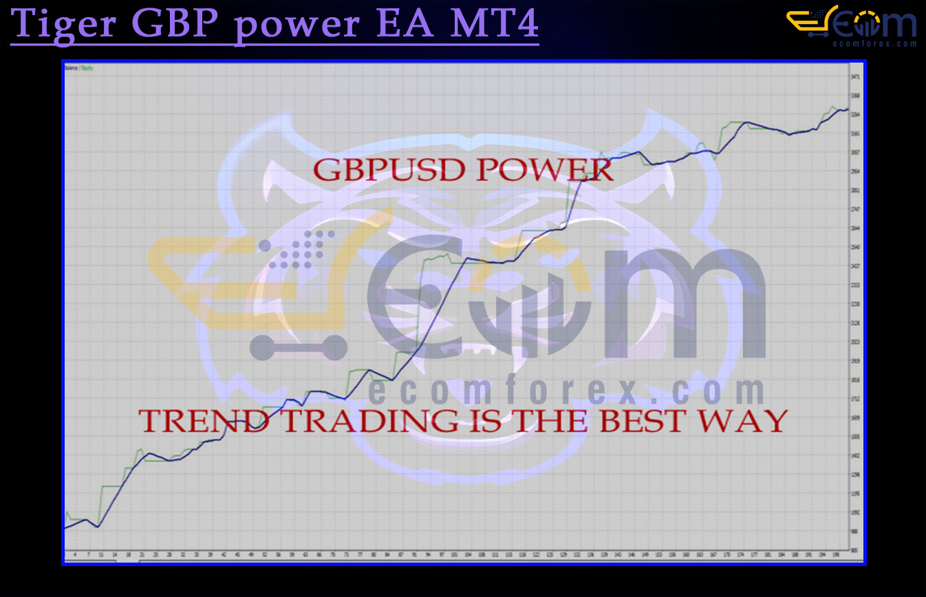 Tiger GBP power EA MT4 Backtest