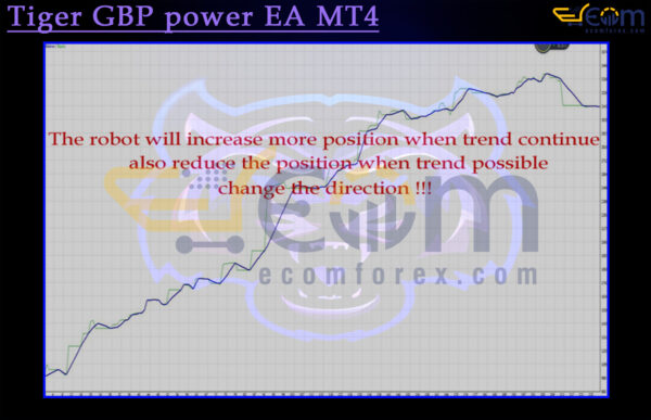Tiger GBP power EA MT4 Backtests