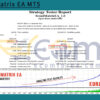 Trend Matrix EA MT5 Backtest