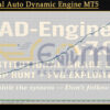 Universal Auto Dynamic Engine MT5 Backtests Result