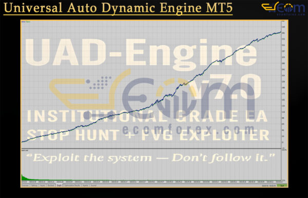 Universal Auto Dynamic Engine MT5 Backtests Result