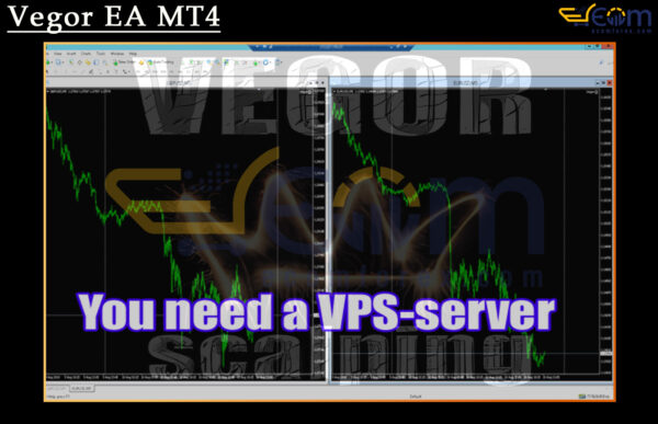 Vegor EA MT4 Review