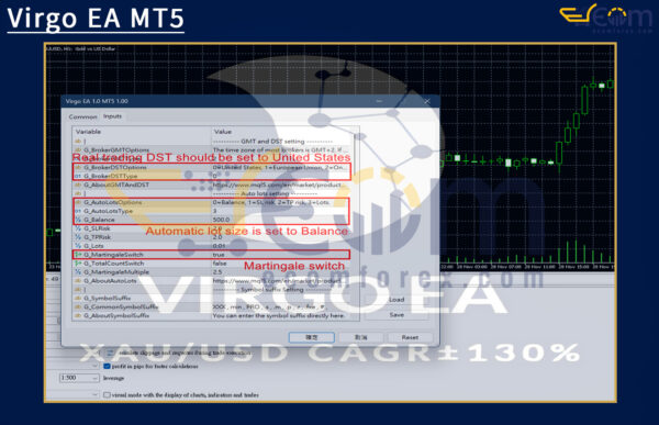 Virgo EA MT5 Input