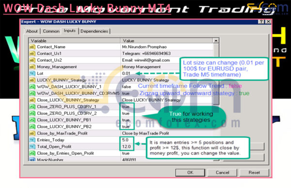WOW Dash Lucky Bunny MT4 Input