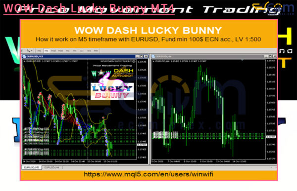 WOW Dash Lucky Bunny MT4 Review