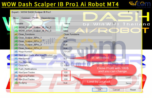 WOW Dash Scalper IB Pro1 Ai Robot Input