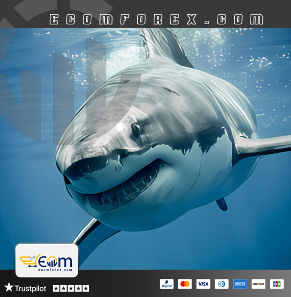White Shark EA MT4 Logo