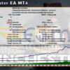 Winchester EA MT4 Backtest