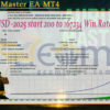 Aurum Master EA MT4 Backtests Result