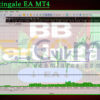 BB Martingale EA MT4 Backtests Result