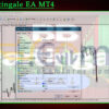 BB Martingale EA MT4 Input