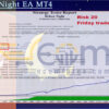 Before Night EA MT4 Backtests