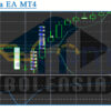 Bolensia EA MT4 Review