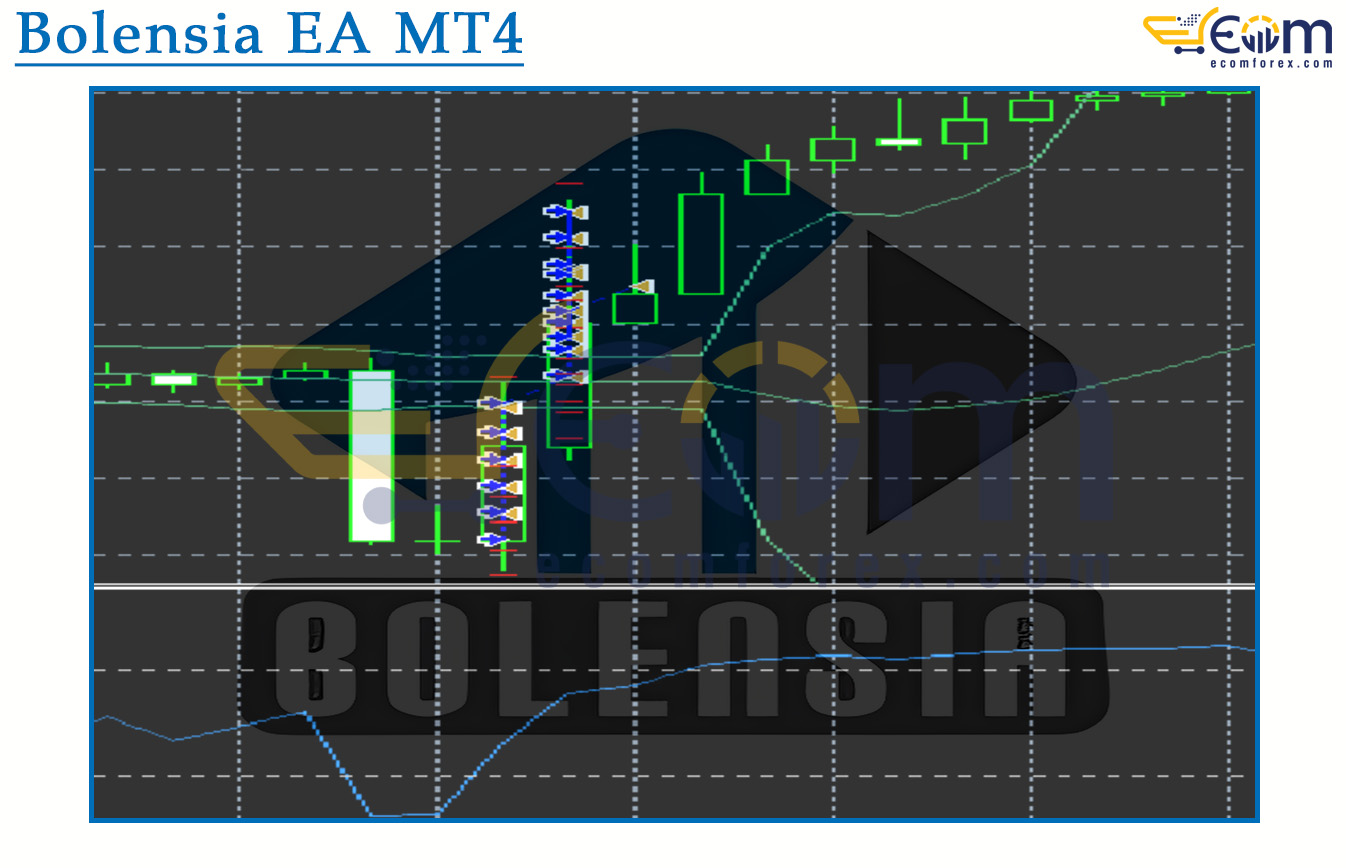 Bolensia EA MT4 Review