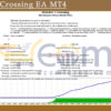 Border Crossing EA MT4 Backtests