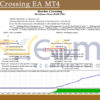 Border Crossing EA MT4 Backtests Result