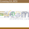 Border Crossing EA MT4 Input