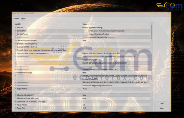 Buda MT5 Input