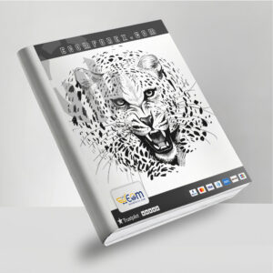 CeleritasForex EA MT4