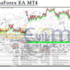 CeleritasForex EA MT4 Backtest