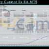 Currency Curator Ex EA MT5 Backtests
