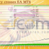 Currency crosses EA MT4 Backtest
