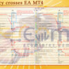 Currency crosses EA MT4 Input