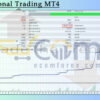 Directional Trading MT4 Backtest