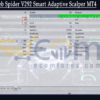 Dorothy Web Spider V292 Smart Adaptive Scalper MT4 Backtests