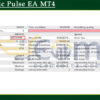 Dynamic Pulse EA MT4 Backtest