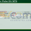 Dynamic Pulse EA MT4 Input