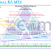 Elbrus way EA MT4 Backtests