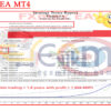 FXmax EA MT4 Backtests Result