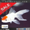 Fish n Grid EA MT4 Logo