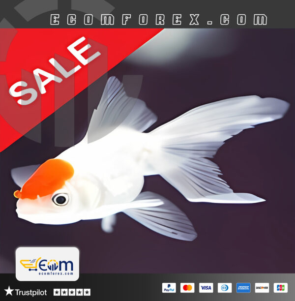 Fish n Grid EA MT4 Logo