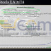 Fisher Steels EA MT4 Backtest