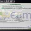 Fisher Steels EA MT4 Backtests
