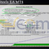 Fisher Steels EA MT4 Backtests Result